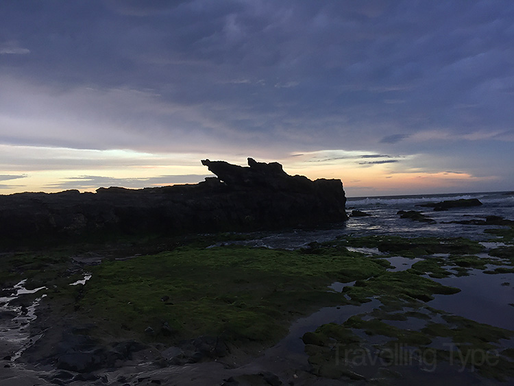 Goanna Headland
