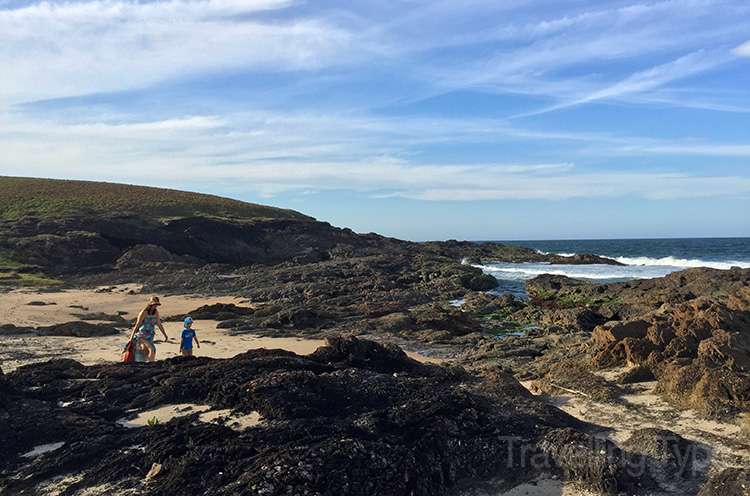 Goanna Headland
