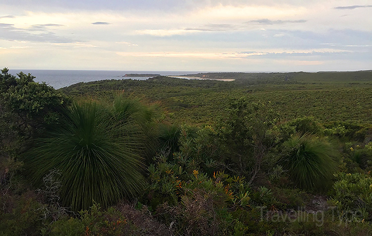 Goanna Headland