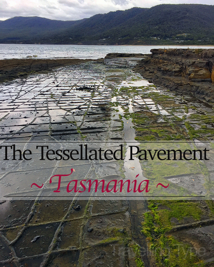 As the plaque tells us, ‘its story began in an ancient, cold sea’. Today, the tessellated pavement lives on a mysterious shoreline at the bottom of the world.